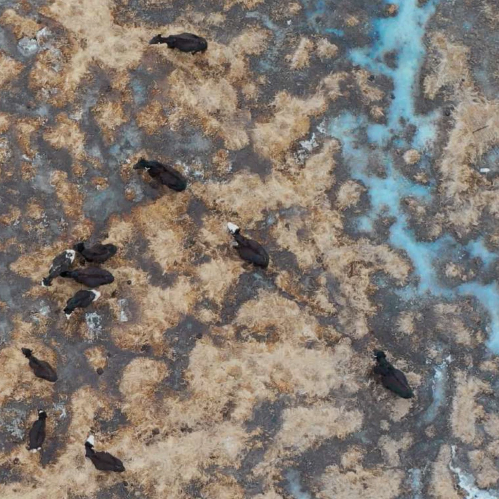 CLIMAVORE x Jameel at RCA announces 2024 Food Action Awards